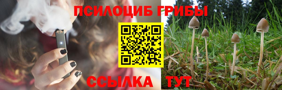 Уварово  Галлюциногенные грибы прущие грибы  Галлюциногенные грибы мухоморы  Вход с VPN 